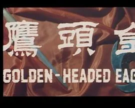金头鹰粤语