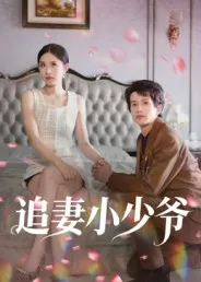 追妻小少爷