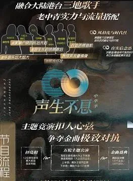 声生不息家年华